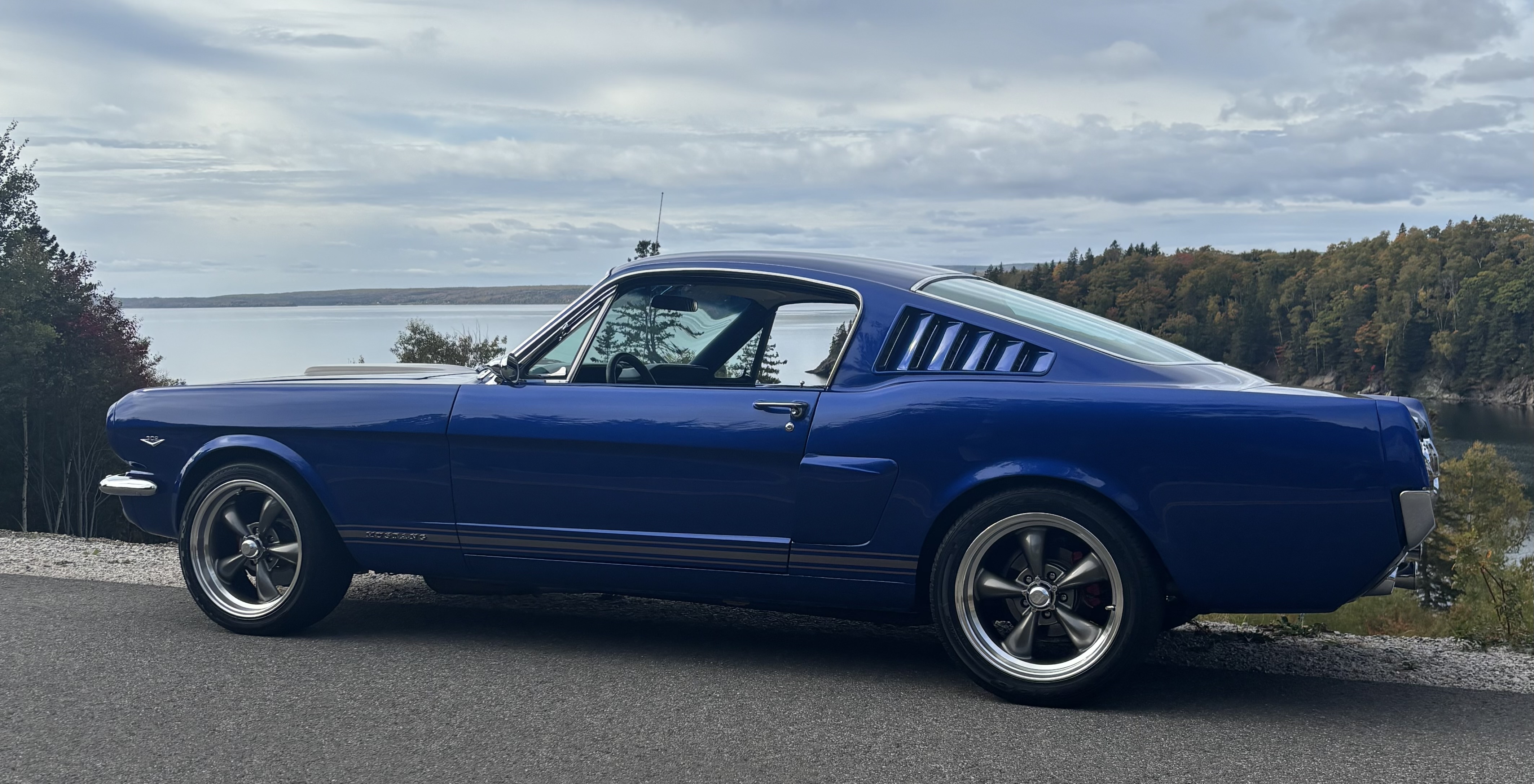 Rick Pitchuck's 1965 Mustang Fastback