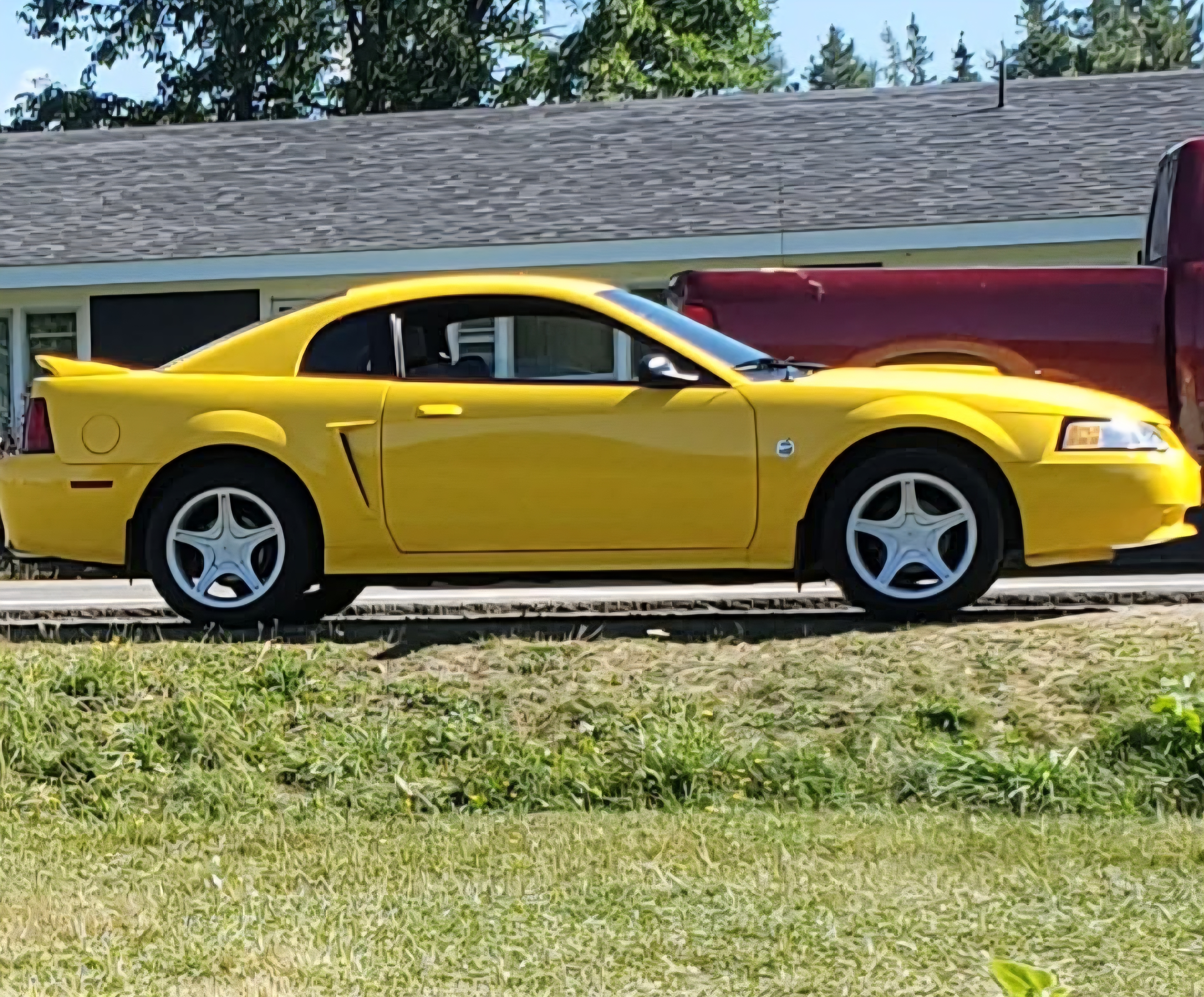 Alex MacKinnon's 1999 Mustang