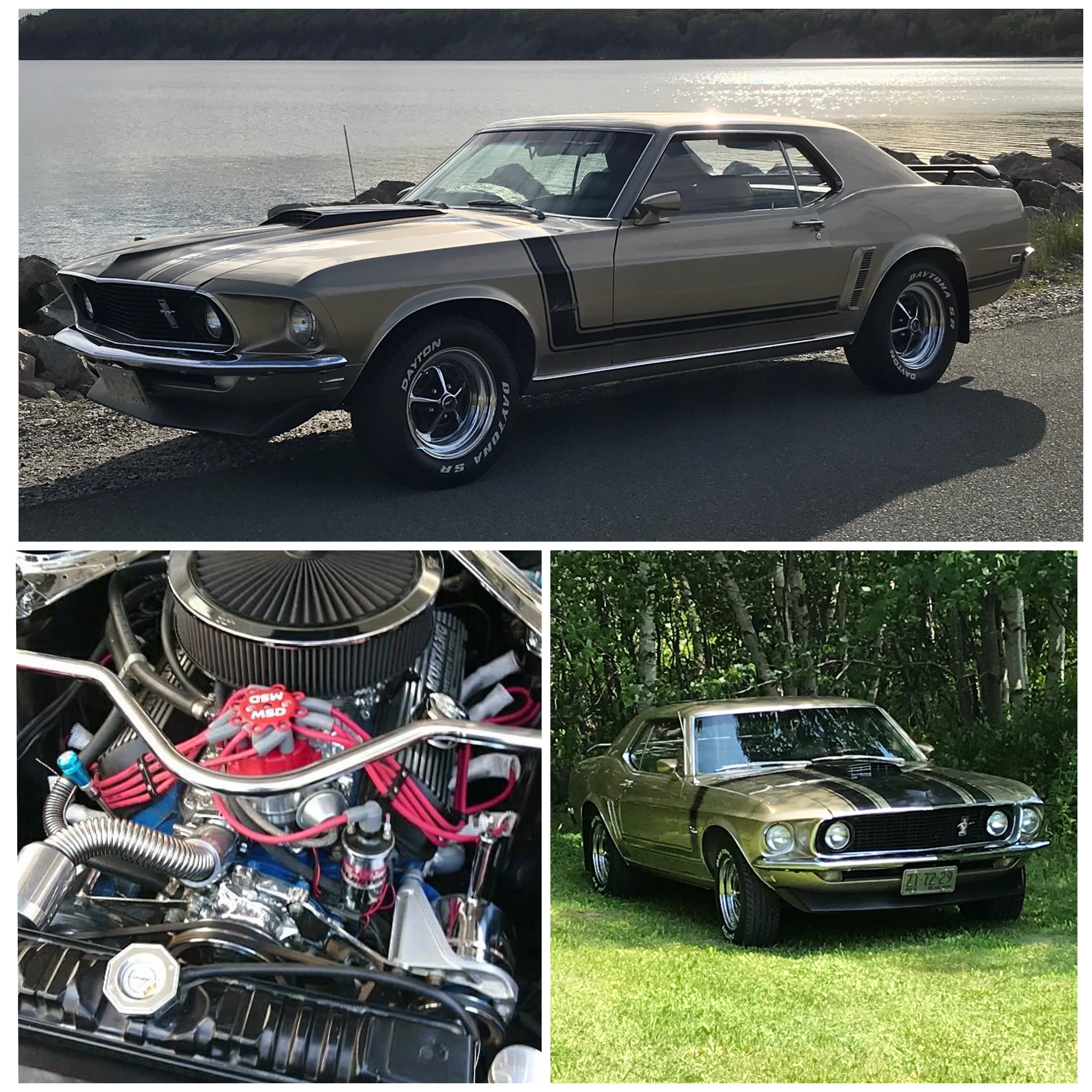 Steve Dolhanty's 1969 Mustang